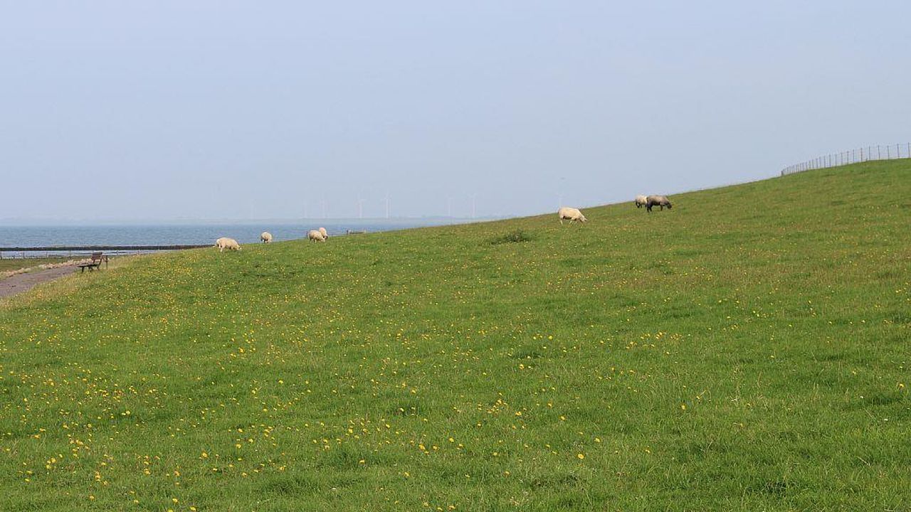 Ruhe und Erholung finden in wunderbarer Natur Ruhe und Erholung finden in wunderbarer Natur